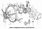 Водяной насос, вентилятор