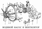 Водяной насос и вентилятор