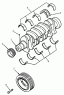 Коленчатый вал/Crankshaft