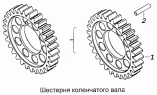 Шестерня коленчатого вала 7406.1005031
