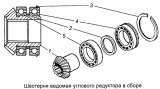 Шестерня ведомая углового редуктора рулевого механизма 4310-3401750