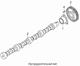 Распределительный вал 740.21-1006010
