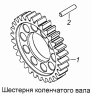 Шестерня коленчатого вала 7406.1005031