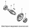 Шестерня ведомая коническая 5320-2402064-10