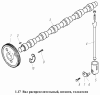 Вал распределительный, штанги, толкатели