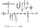 Жгут проводов двигателя / Engine wiring harness group 3724E-T0400