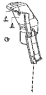 Нижняя облицовка передней панели / Front wall lower splash board group 5301P-C0100