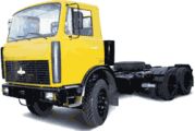 6303